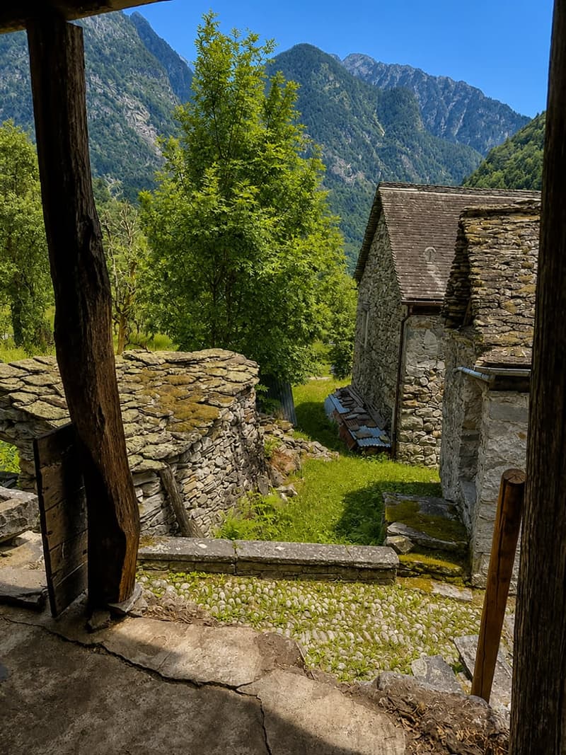 Panorama