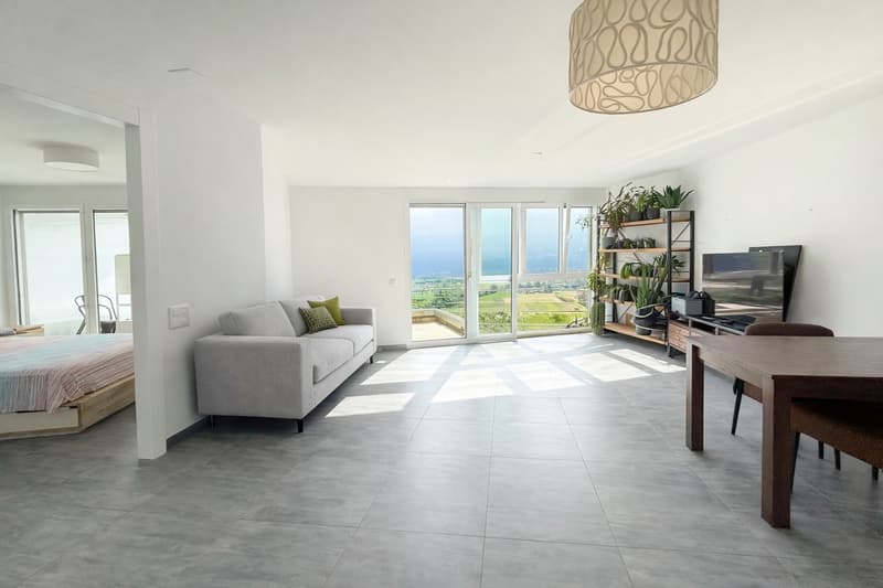 Zweitwohnsitz: Moderne 2,5-Zimmer-Wohnung mit wunderschöner Terrasse und Panoramablick. (6)
