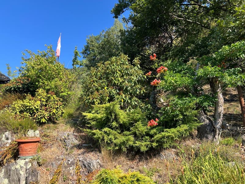 Ein Rückzugsort in den Tessiner Bergen – Rustico mit traumhafter Aussicht (6)