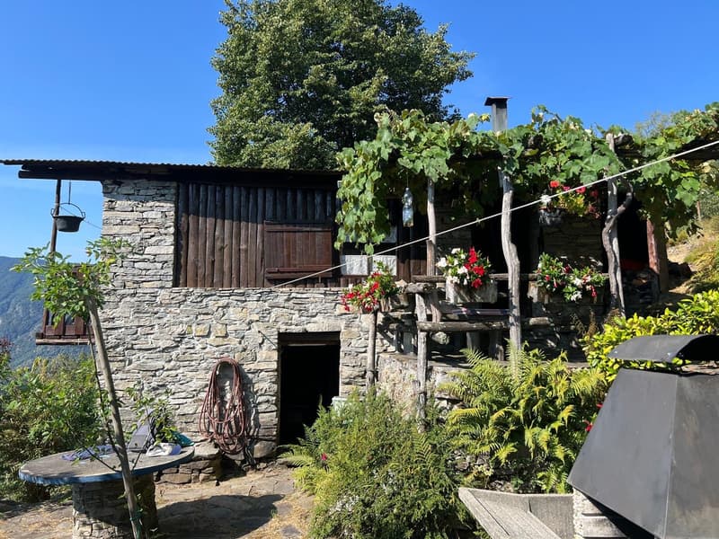 Ein Rückzugsort in den Tessiner Bergen – Rustico mit traumhafter Aussicht (1)