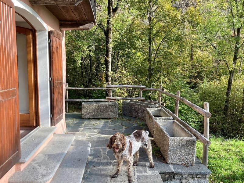 Tessin, Brione s/Minusio, Val Resa - Rustico renovierte mit garten (14)