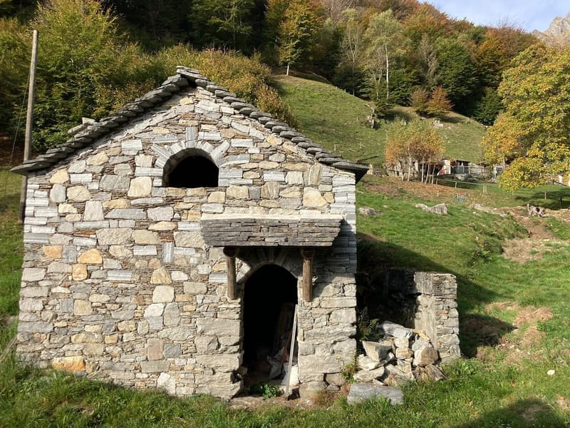 Brione s/Minusio, Val Resa - 2 Rustici con terreno, rinnovati (1)