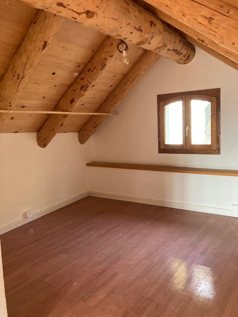 Brione s/Minusio, Val Resa - 2 Rustici con terreno, rinnovati (8)