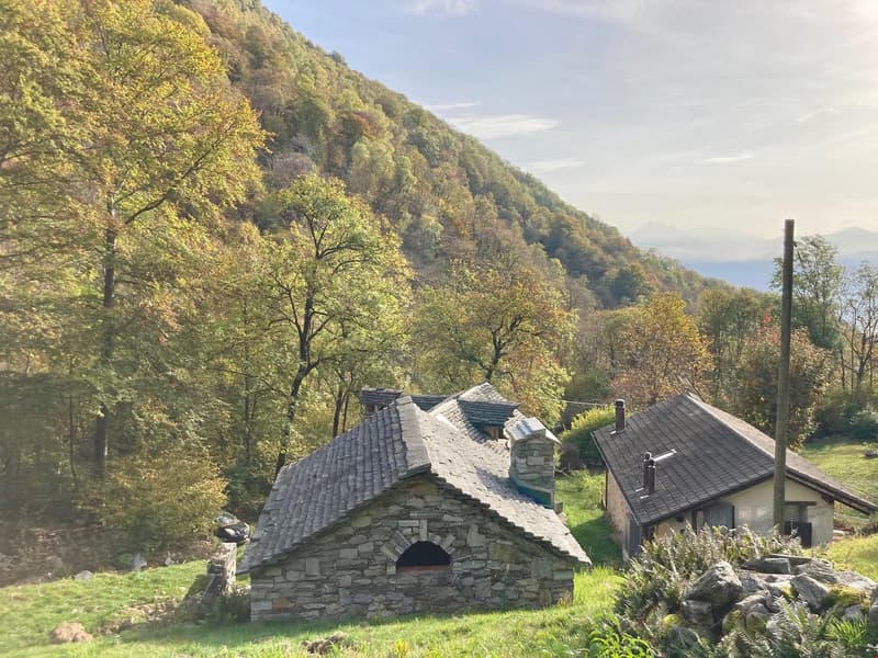 Brione s/Minusio, Val Resa - 2 Rustici con terreno, rinnovati (17)