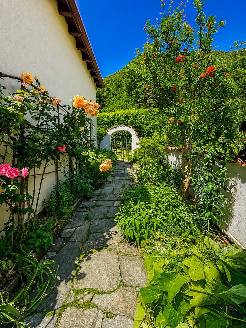 Zweitwohnsitz - Charmantes typisches Tessiner Haus/Rustico (10)