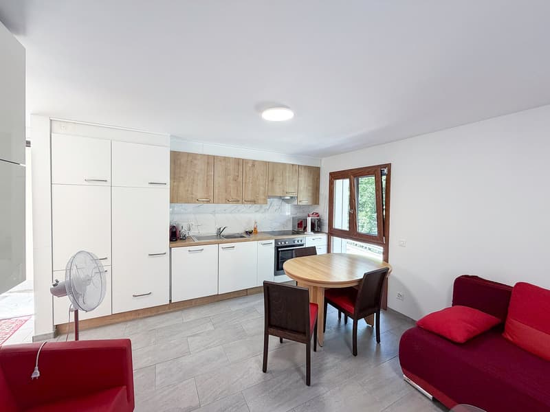 Casa con 4 appartamenti - Haus mit 4 Wohnungen - Vogorno (13)