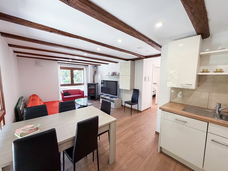 Casa con 4 appartamenti - Haus mit 4 Wohnungen - Vogorno (23)