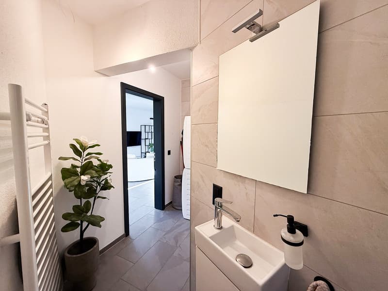 Ferienhaus am Fluss Maggia (15)