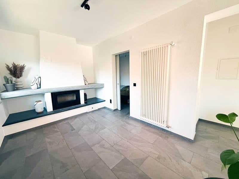 Ferienhaus am Fluss Maggia (11)