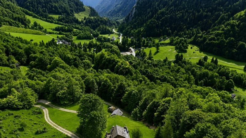 Rustico im Wald - Zweitwohnsitz - Mogno, LavizzaraTal (13)