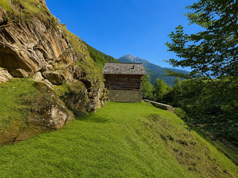 Rustico im Wald - Zweitwohnsitz - Mogno, LavizzaraTal (3)