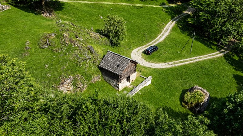 Rustico im Wald - Zweitwohnsitz - Mogno, LavizzaraTal (2)