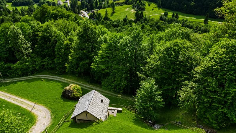 Rustico im Wald - Zweitwohnsitz - Mogno, LavizzaraTal (12)