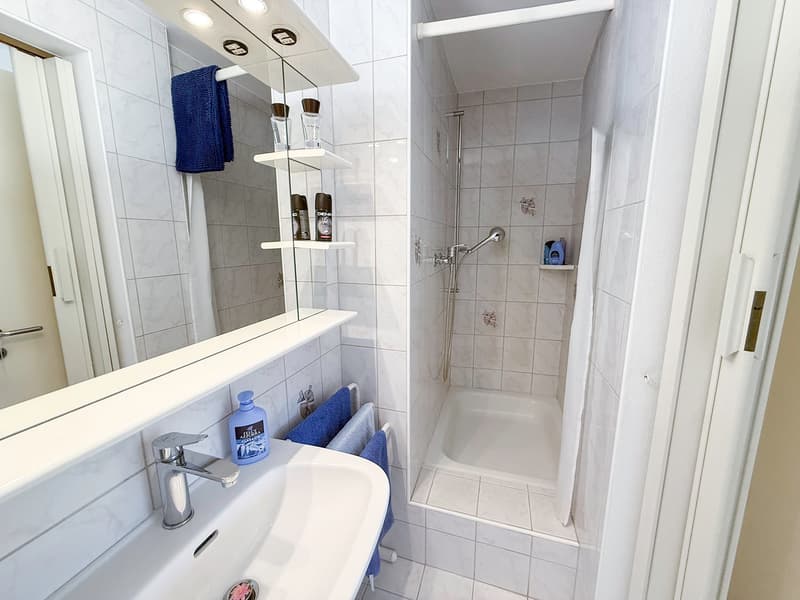 4.5 locali con vista aperta a Tenero - Terrasse und Weitsicht (12)