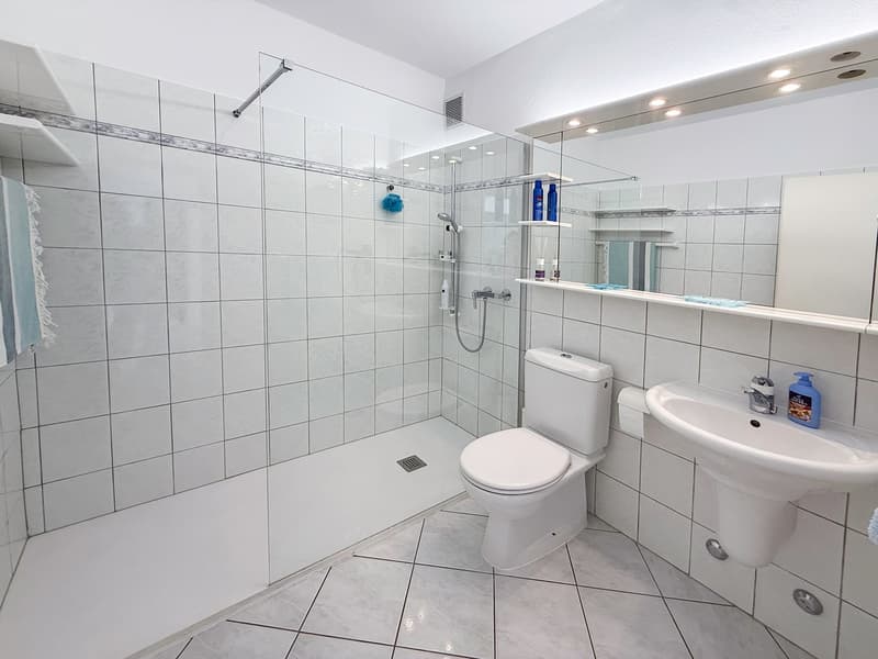 4.5 locali con vista aperta a Tenero - Terrasse und Weitsicht (15)