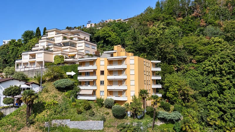 4.5 locali con splendida vista sul lago (26)