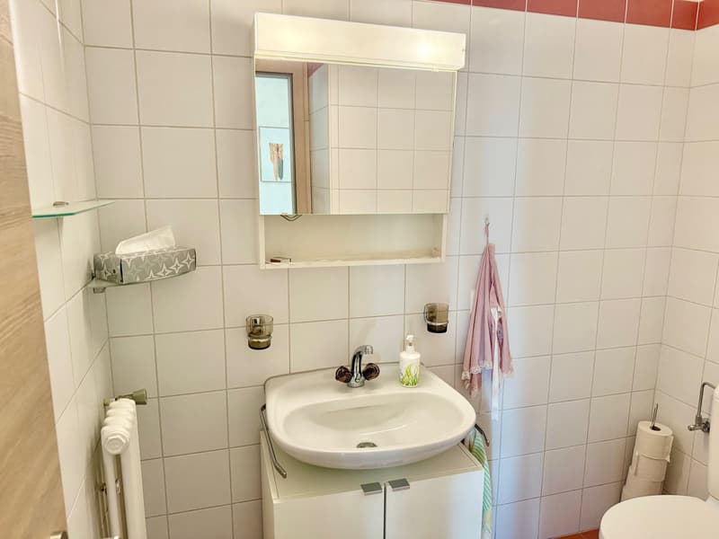ZWEITWOHNSITZ - moderne 2.5 mit pool - 2.5 con piscina (16)