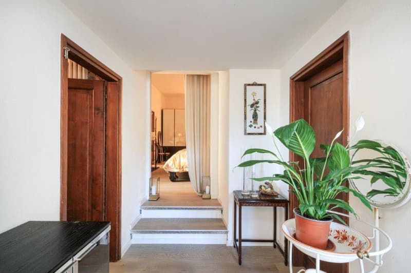 interior hallway, wooden floors, wooden doors, potted plant, small table, mirror, framed picture