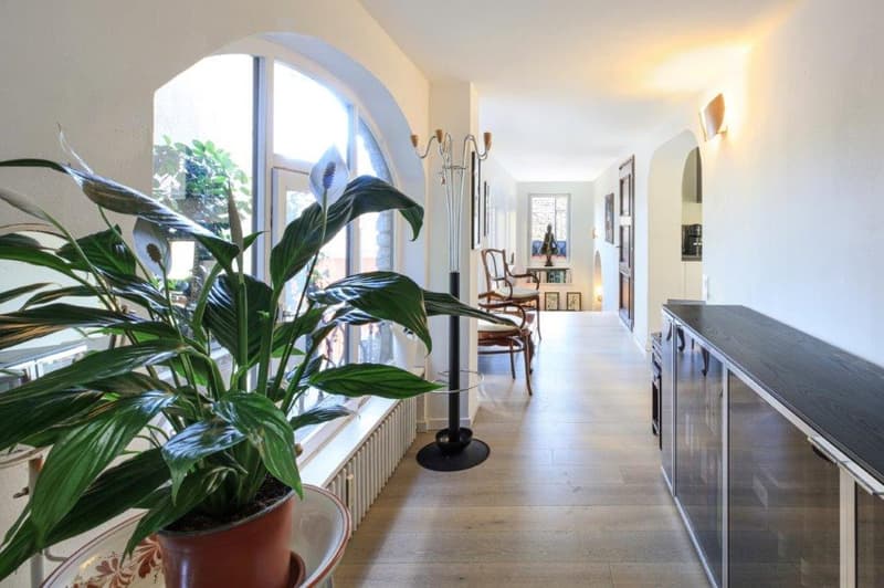 wooden flooring, large arched window, tall potted plants, cabinets