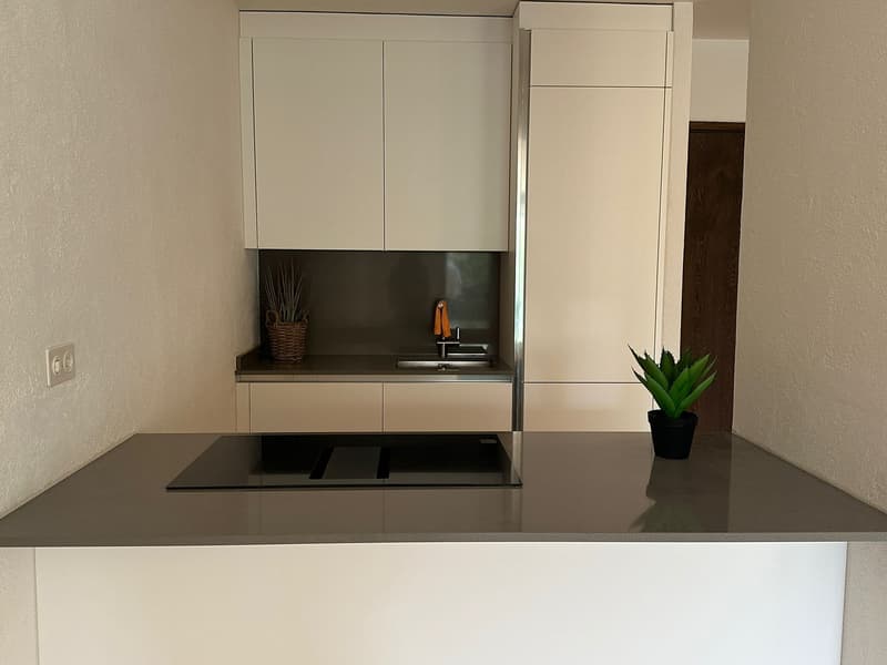modern kitchen with white cabinets, gray countertop, induction cooktop, sink, faucet, potted plant