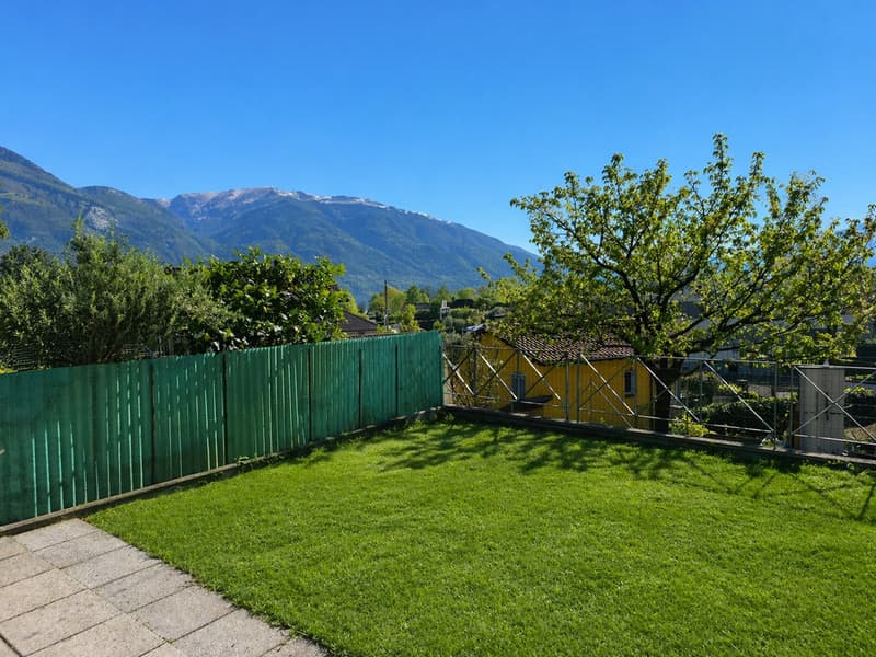green lawn, green fence, trees, mountains in the background