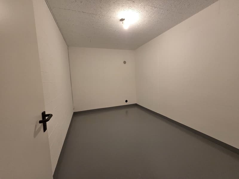 Empty room with white walls, gray floor, and a single light fixture on the ceiling.