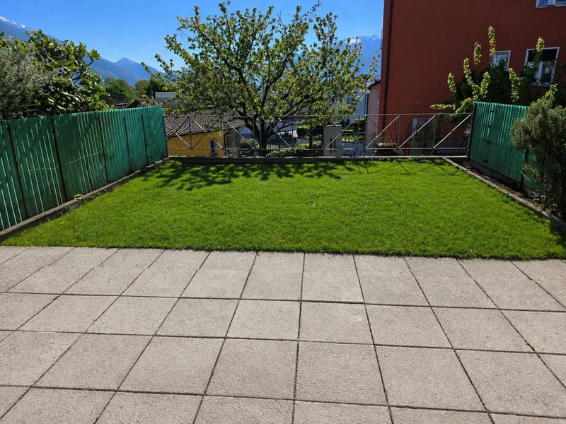 well-maintained garden with green lawn, surrounded by green fences, paved patio, trees, and plants