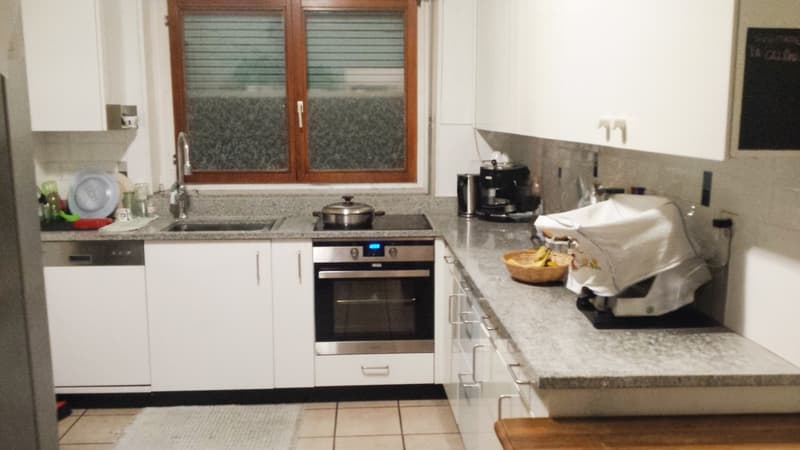 Grande villa 9 locali con piscina interrata e ampio giardino (3)