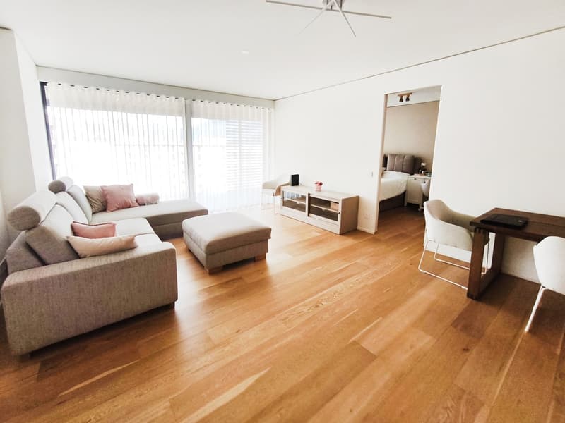 Elegante nuovo 3,5 locali in alto standing con terrazzo abitabile (2)
