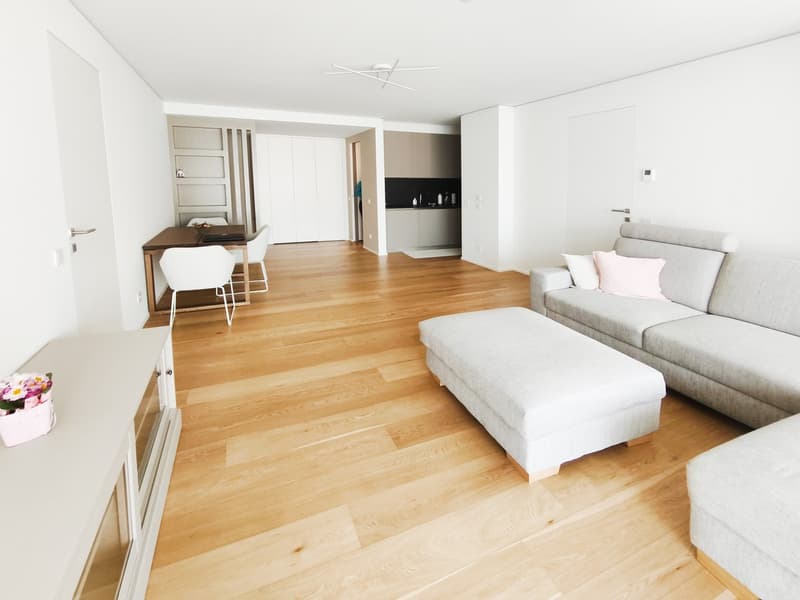 Elegante nuovo 3,5 locali in alto standing con terrazzo abitabile (1)