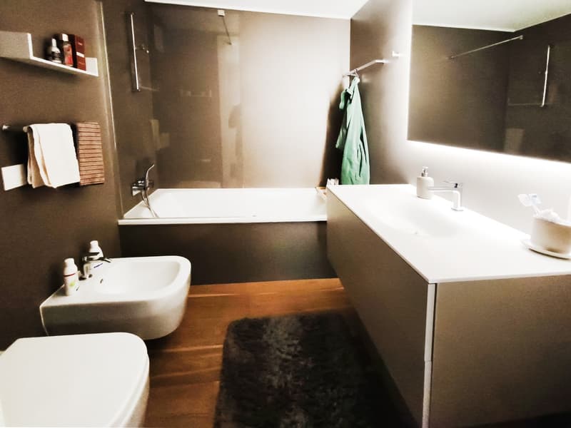 Elegante nuovo 3,5 locali in alto standing con terrazzo abitabile (10)