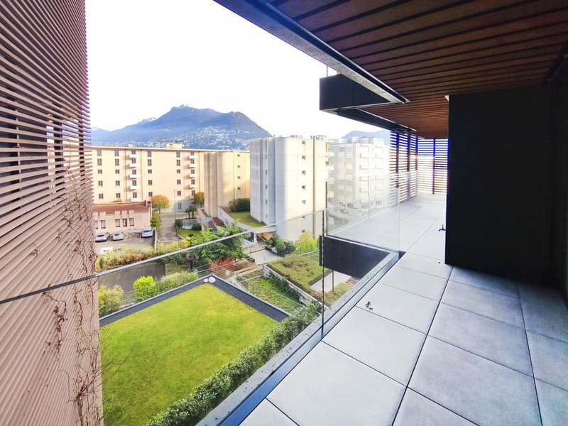 Elegante nuovo 3,5 locali in alto standing con terrazzo abitabile (3)