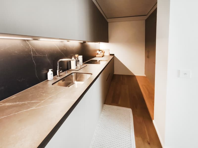 Elegante nuovo 3,5 locali in alto standing con terrazzo abitabile (4)