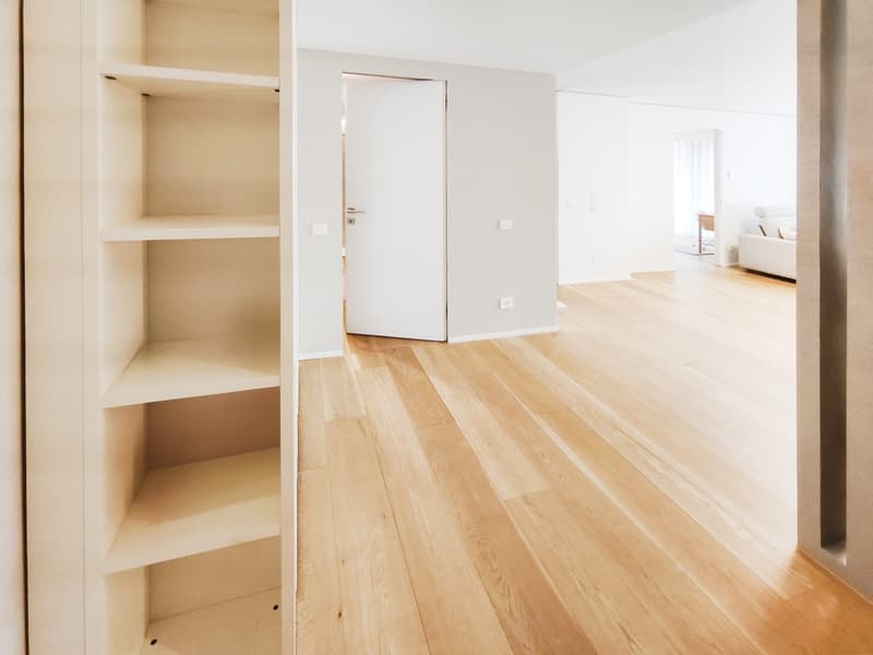 Elegante nuovo 3,5 locali in alto standing con terrazzo abitabile (5)