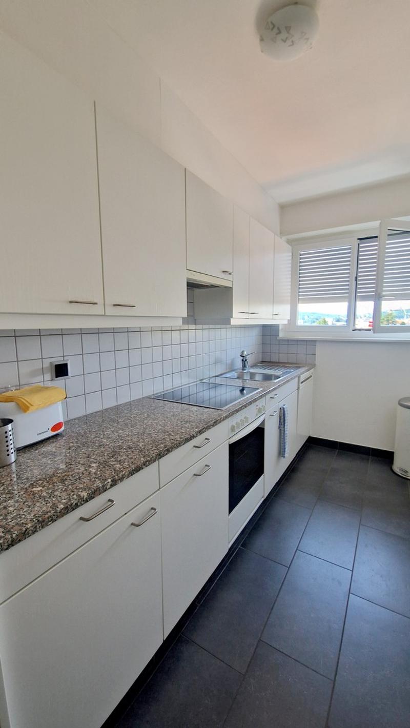 Bel 3,5 panoramico completamente ristrutturato in stile moderno. (8)