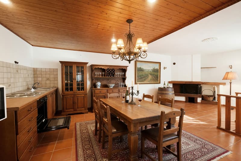 Casa indipendente 7,5 locali con giardino e terrazze panoramiche (11)
