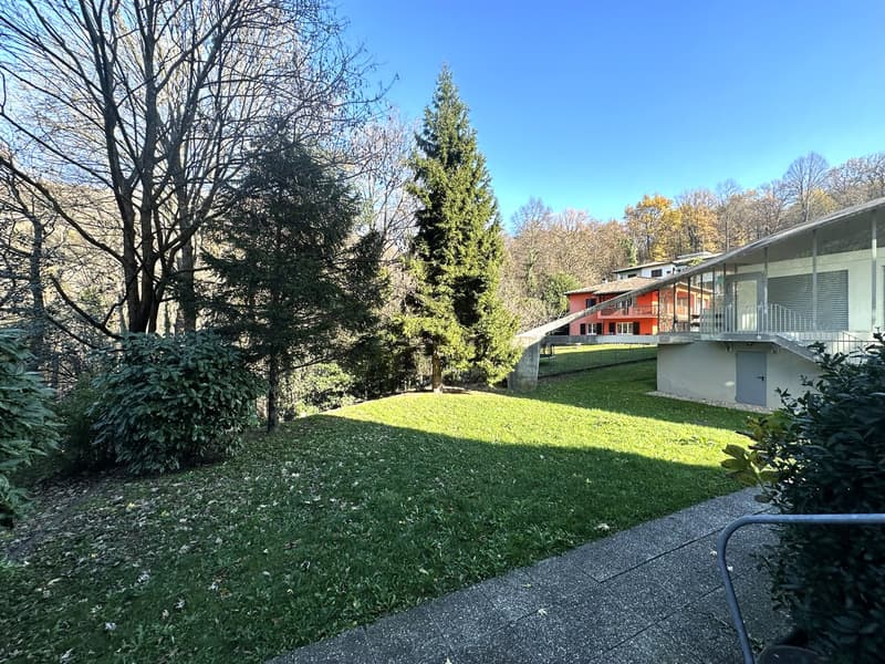 Luminoso 2,5 ristrutturato con terrazza in ottima zona residenziale (9)