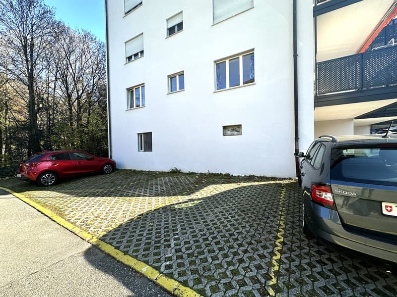 Luminoso 2,5 ristrutturato con terrazza in ottima zona residenziale (10)