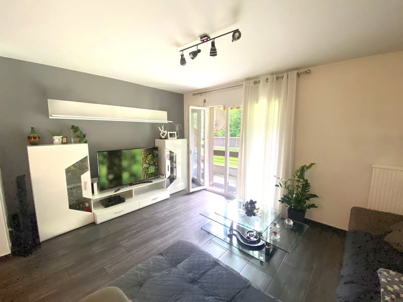 Appartamento 5,5 locali con terrazzo privato e box auto incluso (1)