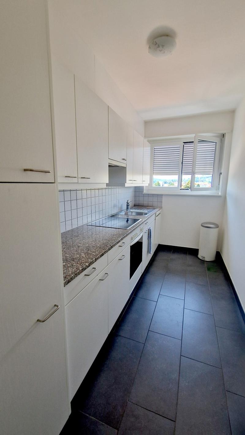 Bel 3,5 panoramico completamente ristrutturato in stile moderno. (7)
