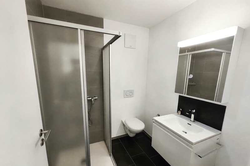 Appartamento 2,5 locali con terrazzo in piccola palazzina a Cadenazzo (8)