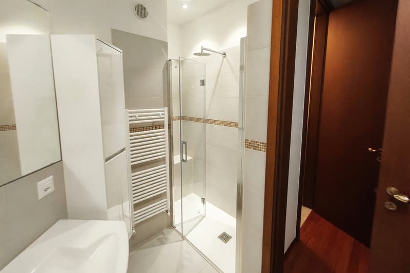 Appartamento 2,5 con balcone in posizione centrale (7)
