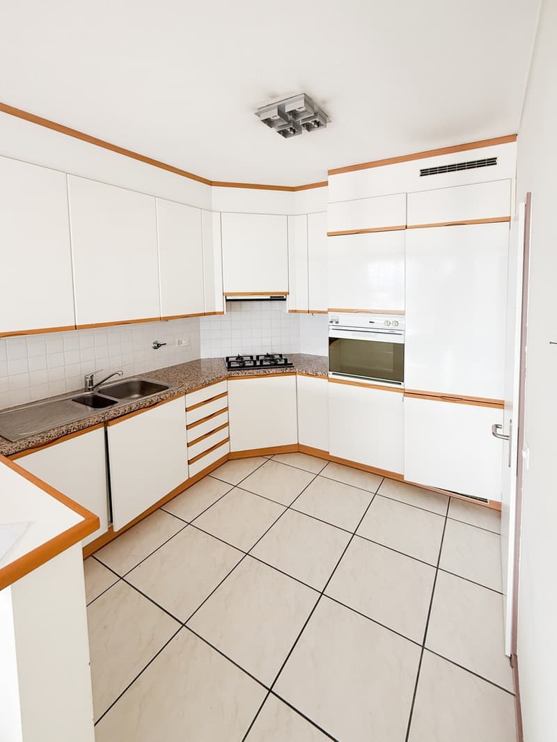 Bellissimo 4,5 ristrutturato con terrazza e vista a Lugano Ronchetto (4)