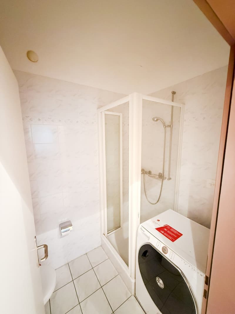 Bellissimo 4,5 ristrutturato con terrazza e vista a Lugano Ronchetto (11)