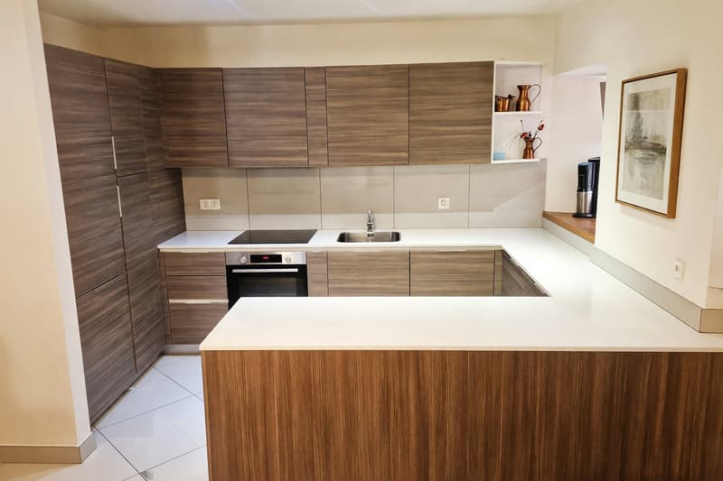 Appartamento 4,5 ristrutturato con terrazzo e caminetto (8)