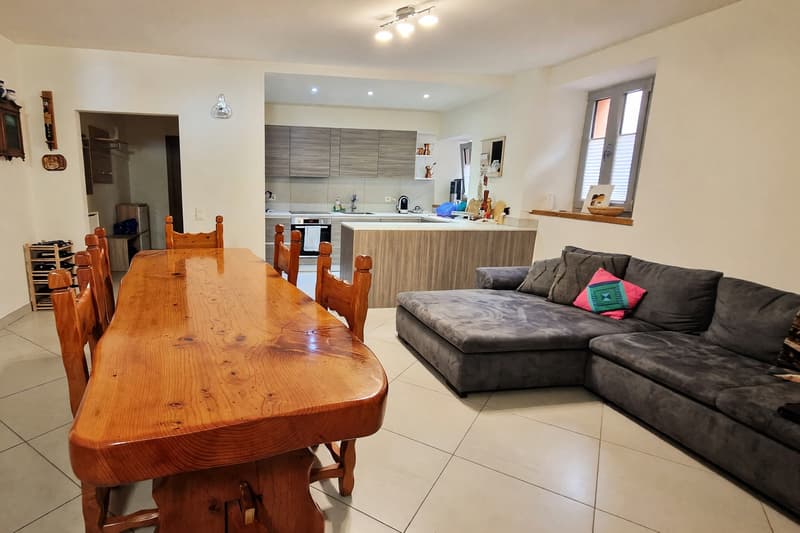 Appartamento 4,5 ristrutturato con terrazzo e caminetto (4)