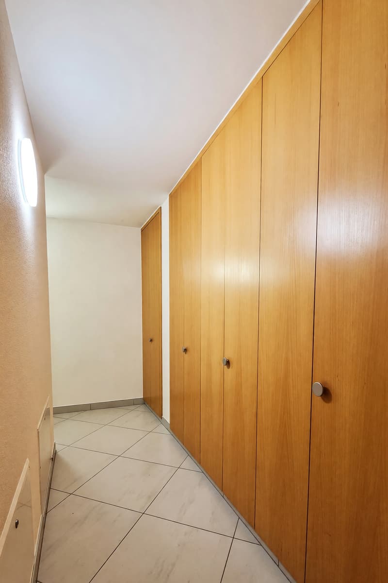 Appartamento 4,5 ristrutturato con terrazzo e caminetto (11)