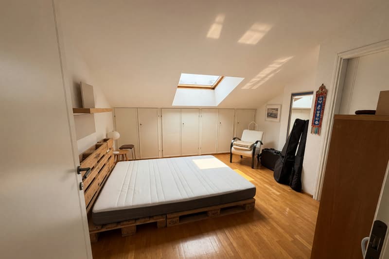 Bellissimo ampio duplex 5,5 locali con terrazza panoramica e camino (9)