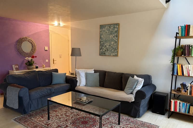 Bellissimo ampio duplex 5,5 locali con terrazza panoramica e camino (3)