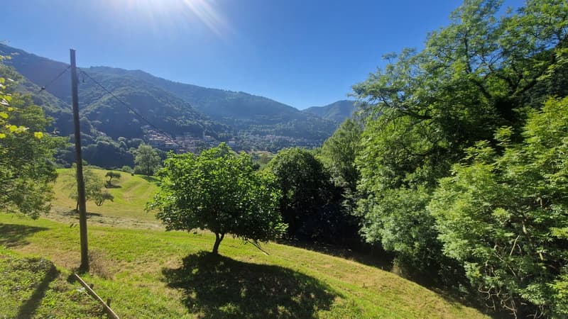 Casa ticinese 5,5 nella pace della natura con meraviglioso panorama. (13)